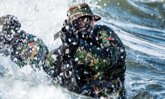 Portuguese Marines